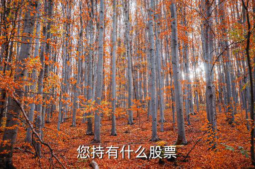 張正委持有什么的股票，香港中央代理人持有哪些股票