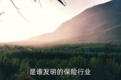 世界上第一家保險公司是什么，哪位朋友可以說一下世界保險發(fā)展史