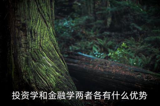 投資學(xué)有什么用，投資學(xué)和稅務(wù)學(xué)專業(yè)各自具體是學(xué)什么的以后就業(yè)前景及方