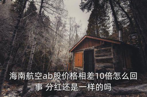 海航b股是什么意思，海南航空ab股價格相差10倍怎么回事 分紅還是一樣的嗎