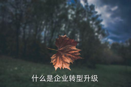 什么叫轉型升級，什么是企業(yè)轉型升級