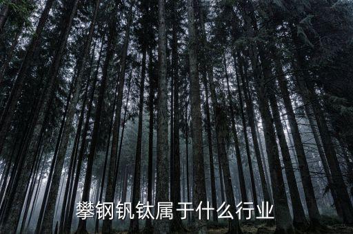 釩鈦產(chǎn)業(yè)屬于什么行業(yè)，攀鋼釩鈦屬于什么行業(yè)
