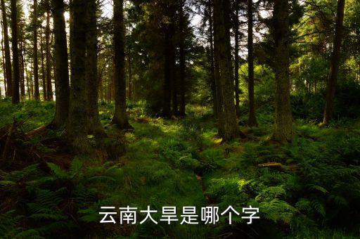 云南大旱是個(gè)什么字，云南大旱是哪個(gè)字