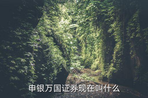 申銀萬國并什么證券公司了，申銀萬國證券現(xiàn)在叫什么
