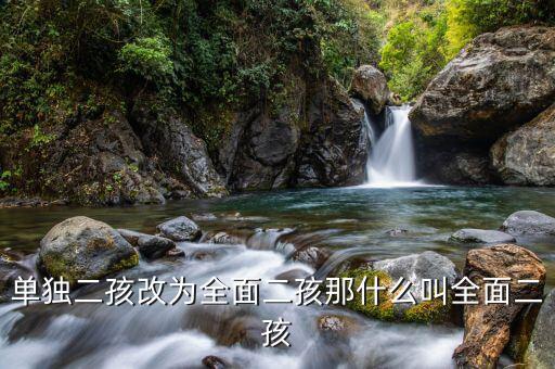 什么是全面二孩，全面開放生二胎指什么