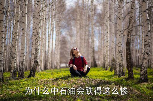 中石油上市為什么狂跌，為什么中石油會跌得這么慘