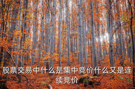 集合競(jìng)價(jià)是什么意思，股票交易中什么是集中競(jìng)價(jià)什么又是連續(xù)競(jìng)價(jià)