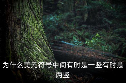 比美元符號(hào)多一豎是什么，一個(gè)很像美元的符號(hào) 但是那一豎是不貫穿S的 也就是S上面有一小豎