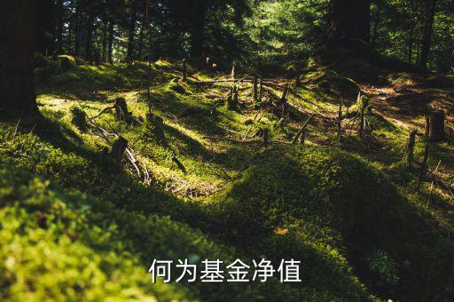 什么叫基金凈值，基金凈值是什么意思