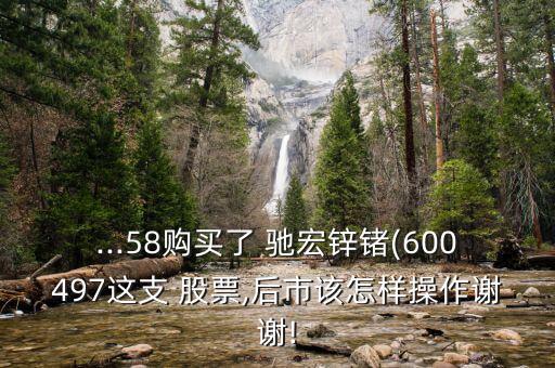 ...58購(gòu)買了 馳宏鋅鍺(600497這支 股票,后市該怎樣操作謝謝!
