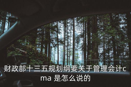 財(cái)政部十三五規(guī)劃綱要關(guān)于管理會計(jì)cma 是怎么說的