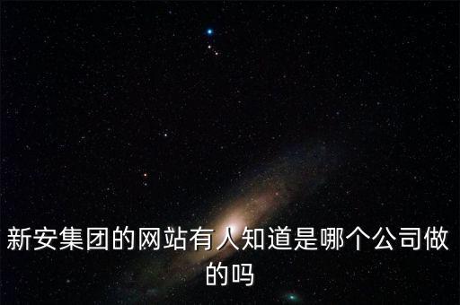 新安股份做什么的，新安集團的網(wǎng)站有人知道是哪個公司做的嗎