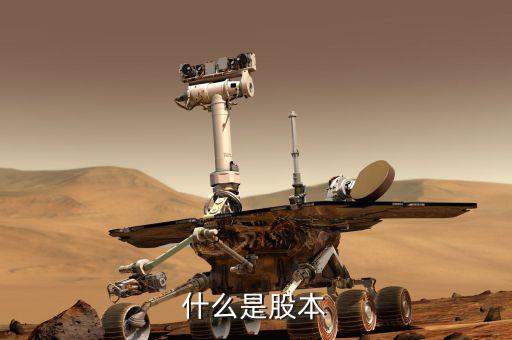 股票股本是什么意思，股本的概念