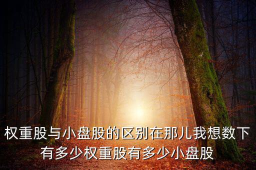 權重股與小盤股的區(qū)別在那兒我想數(shù)下有多少權重股有多少小盤股