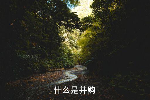 什么叫并購，什么是并購
