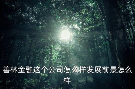 善林公司經(jīng)營什么，善林金融這個公司怎么樣發(fā)展前景怎么樣