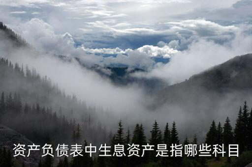 什么是生息負(fù)債，什么是速動(dòng)資產(chǎn)流動(dòng)負(fù)債和生息債務(wù)