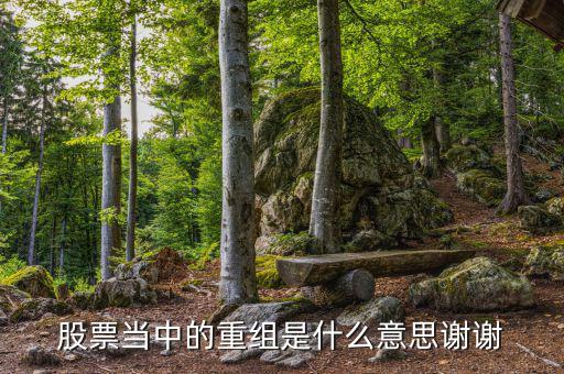 什么是重組，重組在電腦術(shù)語中什么意思