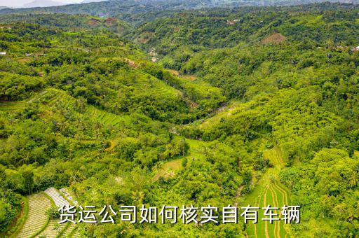 貨運(yùn)資產(chǎn)是什么意思，貨運(yùn)公司如何核實(shí)自有車輛