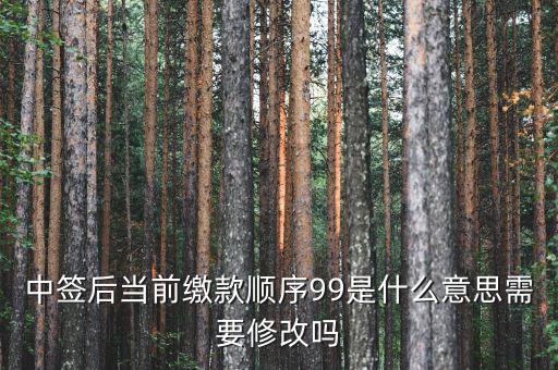 繳款順序99是什么意思，99是什么意思