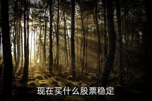 買什么股票比較穩(wěn)妥，現(xiàn)在買什么股票穩(wěn)定