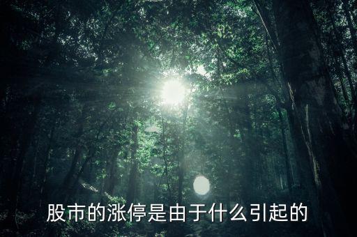 股票漲停跟什么有關(guān)系，股票開盤就漲停受什么因素影響能否具體回答