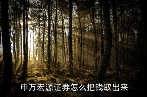  申萬(wàn)宏源證券怎么把錢取出來(lái)