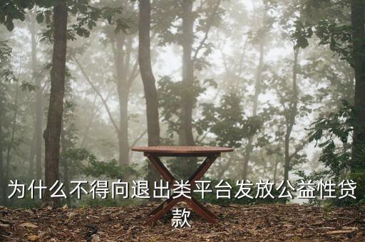 什么是退出類(lèi)融資平臺(tái)，為什么不得向退出類(lèi)平臺(tái)發(fā)放公益性貸款
