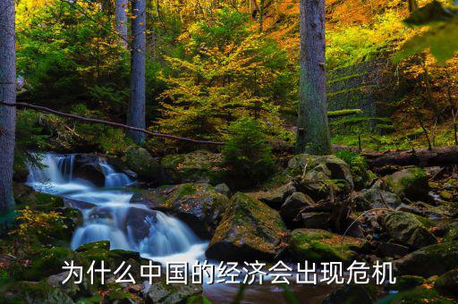 為什么中國將發(fā)生經(jīng)濟危機，中國為什么會面臨經(jīng)濟危機