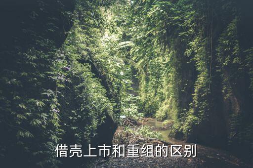 什么是借殼重組，下殺就買怕什么借殼重組什么概念