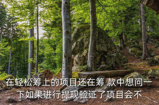 輕松籌提現(xiàn)有什么審核，輕松籌審核條件