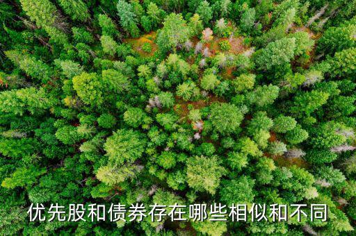 境外優(yōu)先股是什么，優(yōu)先股試點(diǎn)是什么說(shuō)的詳細(xì)點(diǎn)