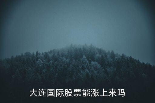 大連國際什么時候漲，大連國際股票能漲上來嗎