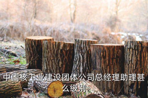 中國(guó)核工業(yè)集團(tuán)什么級(jí)別，中國(guó)核工業(yè)建設(shè)團(tuán)體公司總經(jīng)理助理甚么級(jí)別