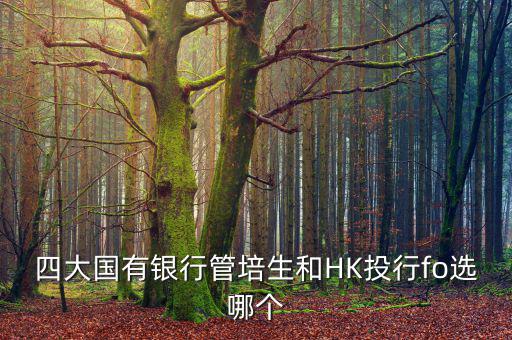四大去投行有什么優(yōu)勢，女 研究生畢業(yè)想進投行 考研想考北大 清華 復(fù)旦或者香港大學(xué) 請問這四