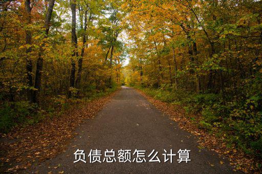 平均總負(fù)債怎么算,如何計算負(fù)債?