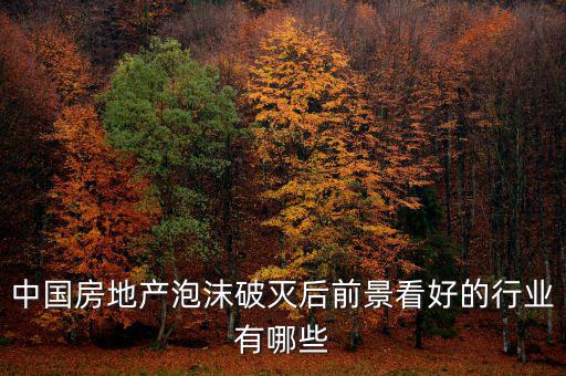 房地產(chǎn)泡沫后什么行業(yè)賺錢，如果真有一天中國房地產(chǎn)泡沫破了我們做點什么賺錢呢或者說有