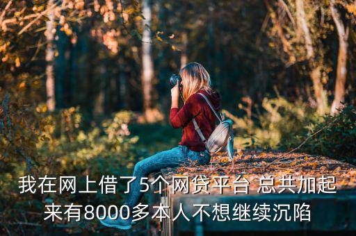 什么網(wǎng)貸能帶8000，今年二十我想貸款八千現(xiàn)有工作分是還款靠譜有好心人幫忙指點(diǎn)