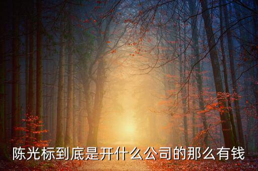 陳光標(biāo)到底是開(kāi)什么公司的那么有錢(qián)