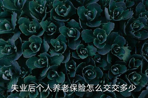 失業(yè)后個(gè)人養(yǎng)老保險(xiǎn)怎么交交多少