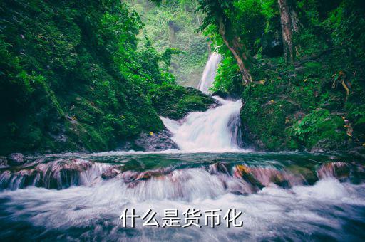 什么是貨幣化改革，實(shí)行貨幣化改革是什么意思