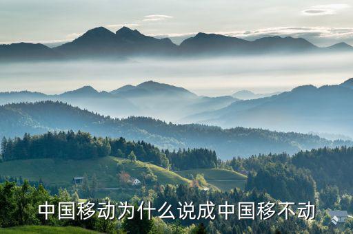 中國移動(dòng)為什么不轉(zhuǎn)型，中國移動(dòng)n1屏幕怎么不旋轉(zhuǎn)