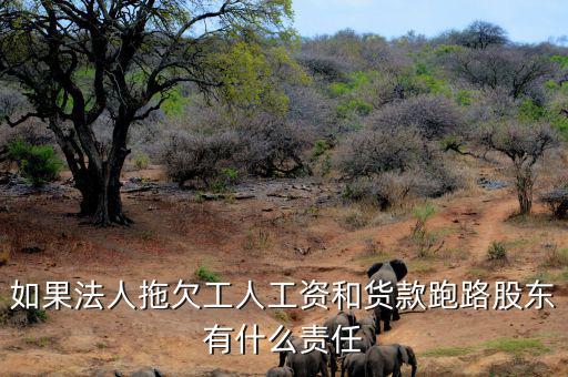 法人跑路屬于什么罪，申請勞動(dòng)仲裁被告用人單位法人代表逃跑了怎么辦他將背負(fù)什么罪
