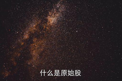 公司原始股是什么，什么是原始股怎樣買原始股