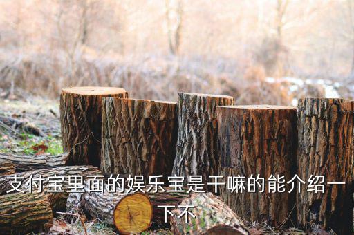 娛樂寶有什么意義，支付寶里面的娛樂寶是干嘛的能介紹一下不