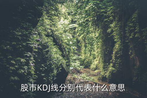 股票中的kdj代表什么，股票指標(biāo)的KDJ是什么意思
