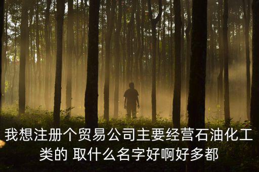 我想注冊(cè)個(gè)貿(mào)易公司主要經(jīng)營石油化工類的 取什么名字好啊好多都