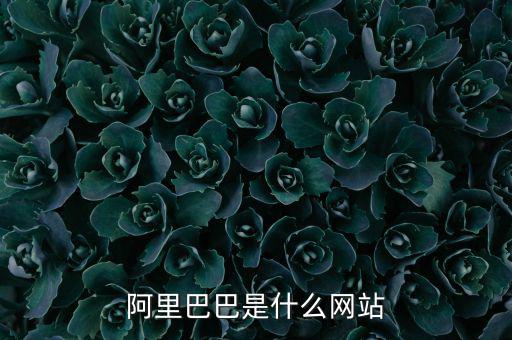 阿里巴巴是什么網(wǎng)站，阿里巴巴是什么網(wǎng)站
