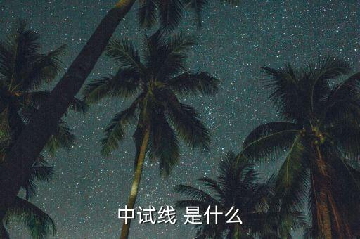 中試線是什么意思，中試線 是什么