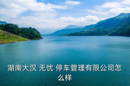 停車(chē)無(wú)憂怎么盈利,無(wú)憂停車(chē)微信服務(wù)號(hào)2開(kāi)放交流服務(wù)